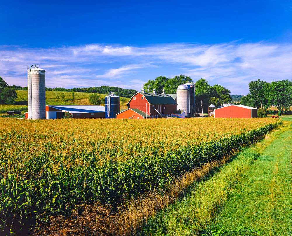 Buchanan County